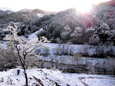 初雪1.jpg